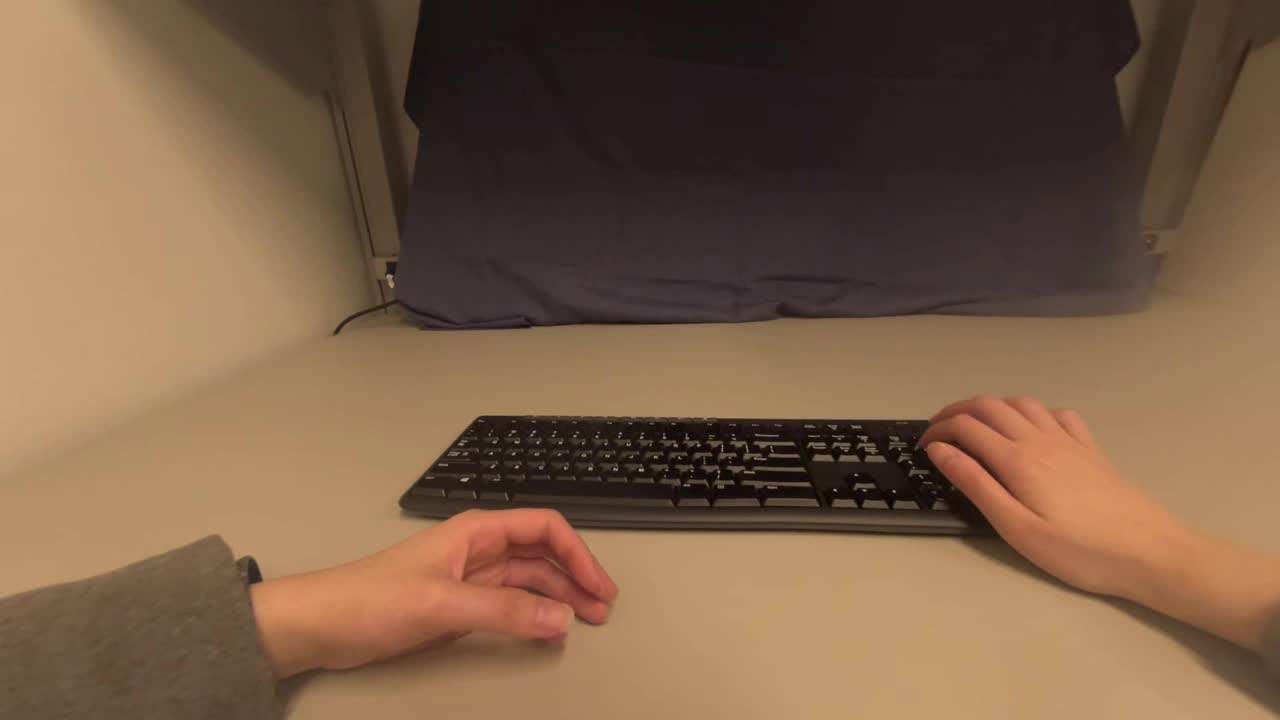 Egocentric keyboard task clip representing label QA review